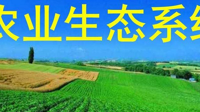 家庭农场补贴申请，如何轻松找到平台入口？**