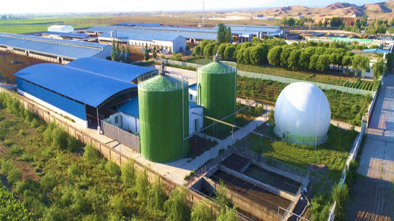 家庭农场与合作社补贴差异解析