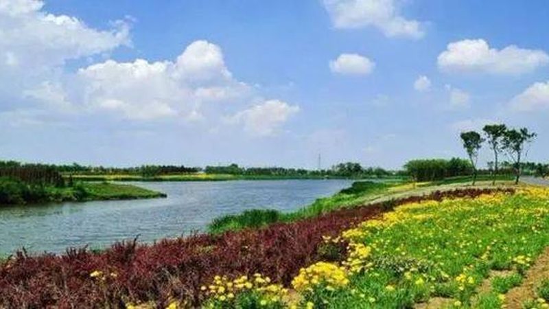 农民专业合作社注销，流程详解与注意事项