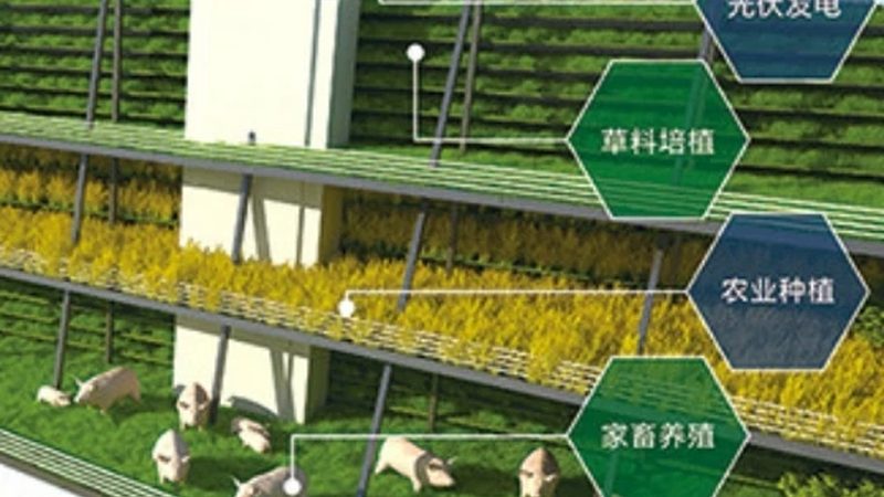 生态农业标准规范：守护绿色田园的基石