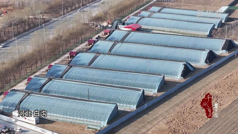 农业产业园灌溉系统PE管：关键部件，价格与性能如何权衡？**