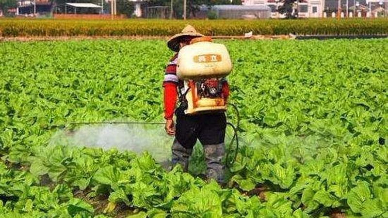 农业种植全流程步骤详解：从土壤到收获