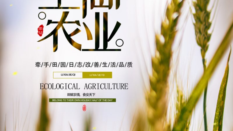 粮食种植资质办理：关键步骤与注意事项