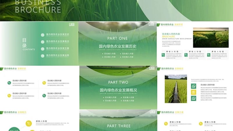 连栋大棚：现代农业设施的关键要素