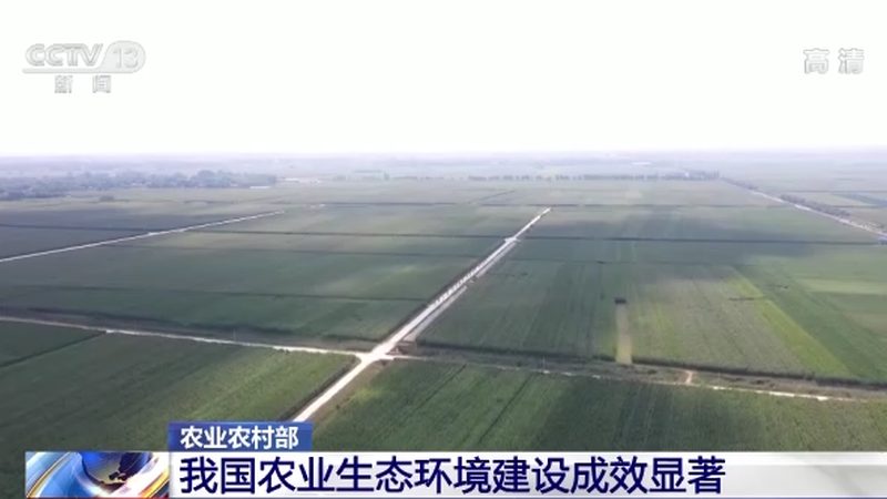 农资经营许可证办理：标准解读与合规要点**