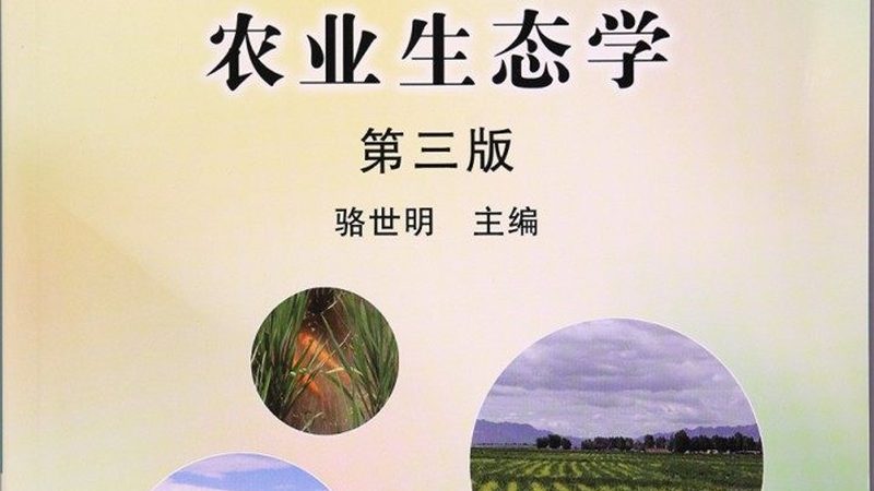 有机蔬菜规格尺寸分类解析